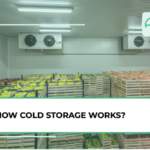 Cold Storage Solutions - Preserving freshness with advanced technology