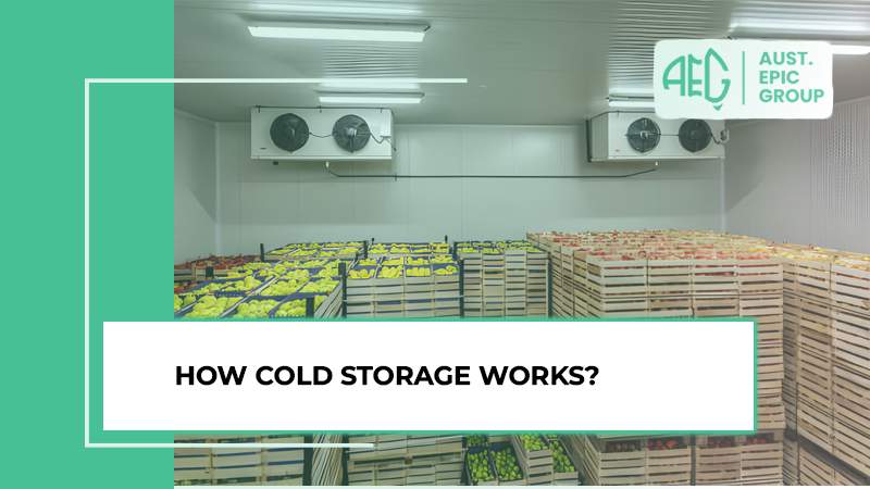 Cold Storage Solutions - Preserving freshness with advanced technology